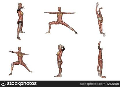 Six different view of warrior yoga pose for woman with muscle visible in white background. Warrior yoga pose for woman with muscle visible