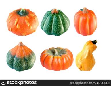 Six differents pumpkins isolated on a white background