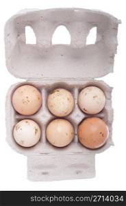 six dirty eggs in a carton box isolated on white background