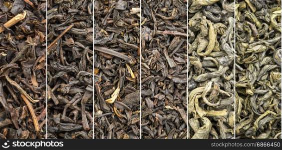 six historical loose leaf black (bohea, oolong, souchong, congou) and green (hyson, singlo) tea collection, the same type thrown over during the Boston Tea Party in 1773.