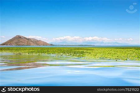 Skadar lake national park. Lake surrounded by mountains. Montenegro