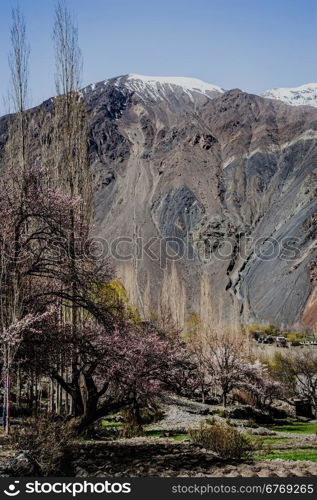 Skardu Valley, Pakistan