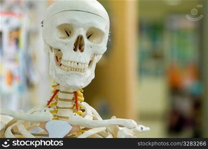 Skeleton in classroom.