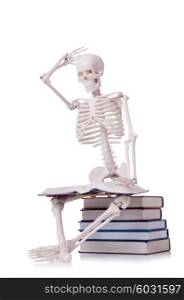 Skeleton reading books on white