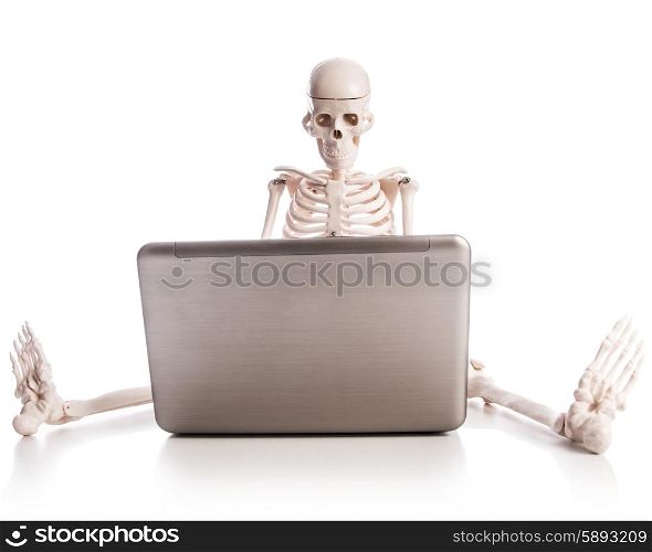Skeleton working on laptop