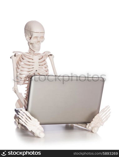 Skeleton working on laptop