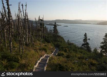 Skerwink Trail at coast, Port Rexton, Bonavista Peninsula, Newfoundland And Labrador, Canada
