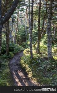 Skerwink Trail, Bonavista Peninsula, Newfoundland And Labrador, Canada