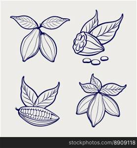 Sketch of cocoa beans and leaves. Sketch of cocoa beans and leaves on grey background. Vector illustration