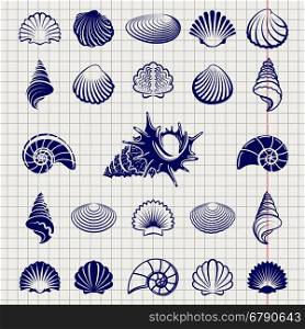 Sketch of sea shells. Sketch of sea shells vector illustration. Sea shell silhouettes set on notebook page