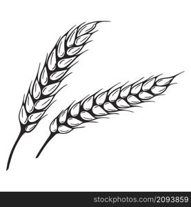 Sketch spikelet isolated vector illustration. A pair of seams of wheat vintage. Hand engraving grain agricultural culture. Sketch spikelet isolated vector illustration