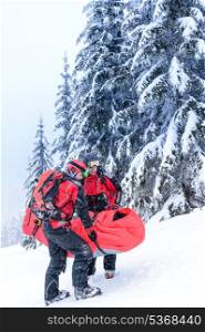 Ski patrol carry injured person skier in rescue stretcher snow