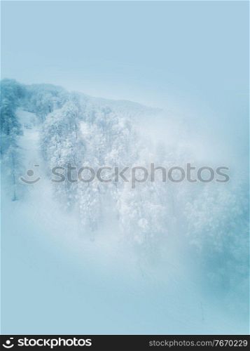 Ski slope in Caucasus mountains, Sochi, Russia, Beautiful winter landscape with forest trees covered with snow frost. Ski slope in winter mountains