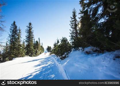 Ski slope in High Tatras mountains. Frosty sunny day. Ski slope lanscape