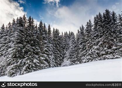 Ski Slope near Megeve in French Alps, France