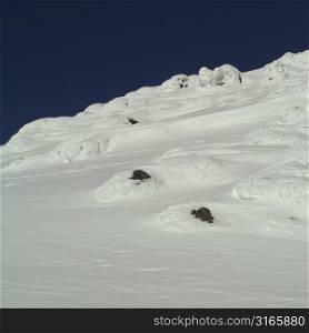 Ski Slopes in the Rocky Mountains Whistler