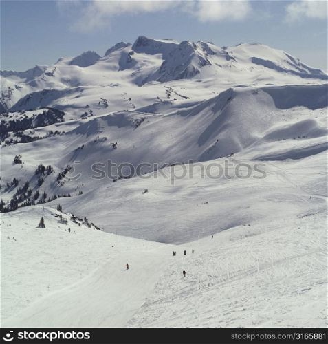 Ski Slopes in the Rocky Mountains Whistler