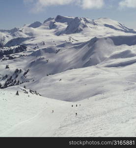 Ski Slopes in the Rocky Mountains Whistler