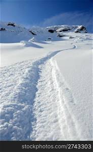 ski snowboard tracks in pure white powder snow