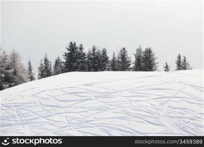 ski traces on snow