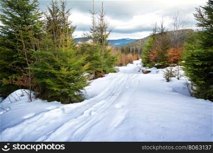 Ski track in snow among fir trees in mountains. Ski track in snow