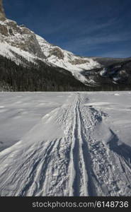 Ski tracks in snow covered landscape with mountain in winter, Emerald Lake, Field, British Columbia, Canada