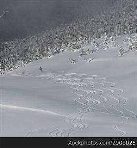 Ski tracks in snow, Whistler, British Columbia, Canada