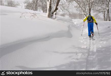 skier climbing in fresh snow with ski touring across forest