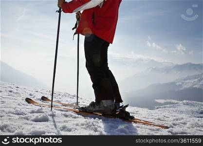 Skier in mountains, low section