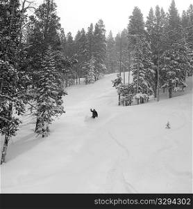Skier on a ski slope in Vail, Colorado