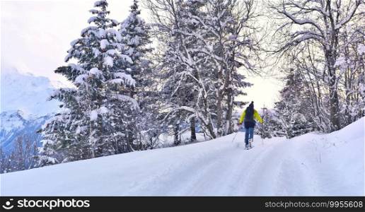 skier touring in a path crossing forest covered with snow at sunset