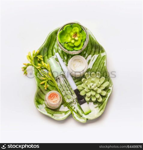 Skin care setting . Herbal cosmetic concept. Green leaves and succulents with cosmetic products and accessories: Mask Brush, bowl and flowers on white desktop background, top view, copy space