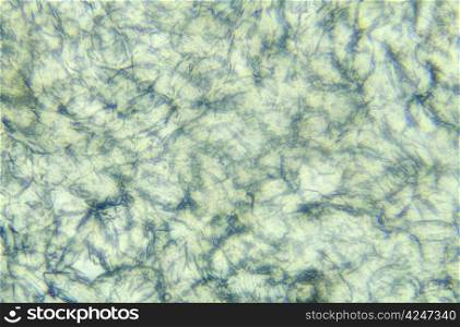 Skin under the microscope, background