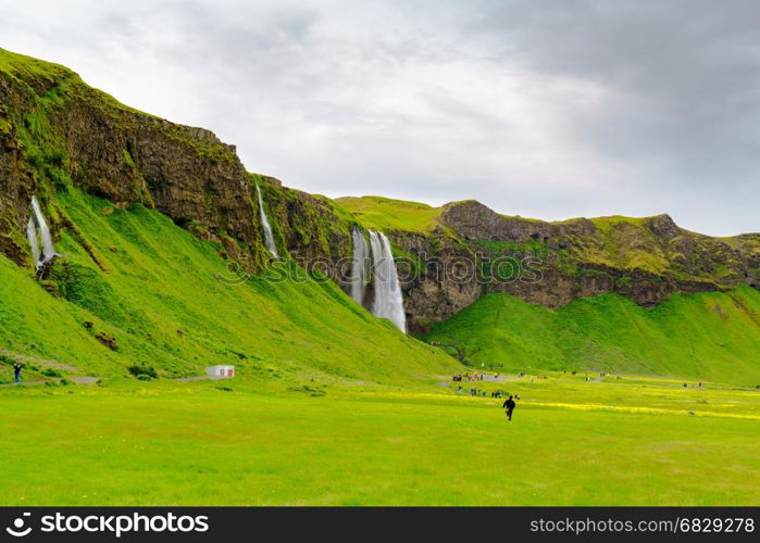 Skogafoss and the field of various flowers in Iceland