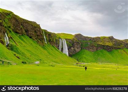 Skogafoss and the field of various flowers in Iceland