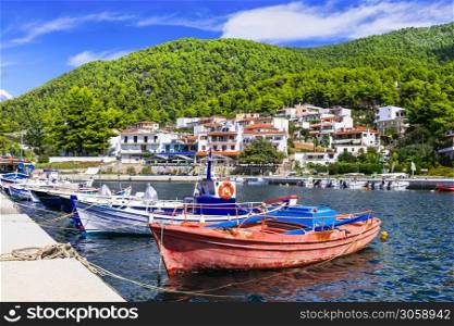 Skopelos island. Sporades, Greece . Picturesque traditional fishing village Neo Klima.