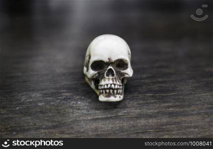 Skull head, laid on an old wooden floor with a scary atmosphere.