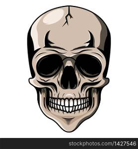 Skull head mascot logo