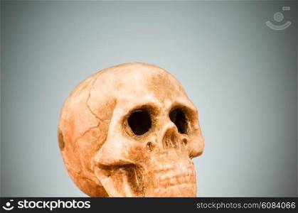 Skull of human against the gradient background