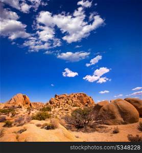 Skull rock in Joshua tree National Park Mohave desert Yucca Valley California USA