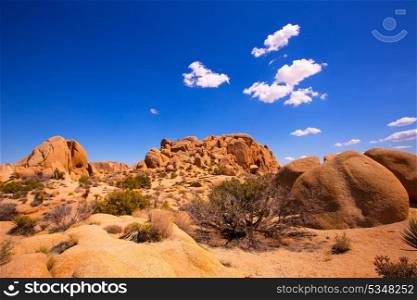 Skull rock in Joshua tree National Park Mohave desert Yucca Valley California USA
