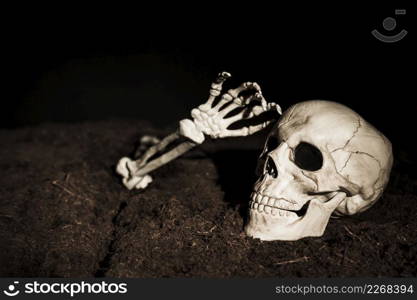 skull skeleton s hand ground