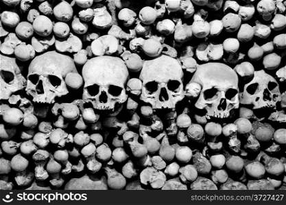 Skulls and bones. Black and white image.