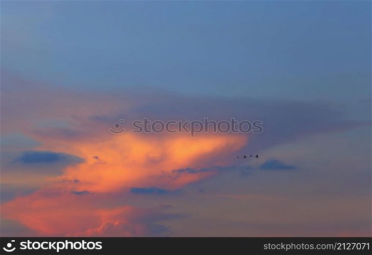 Sky and clouds after sunset,twilight sky view for natural landscape design, and have a birds.