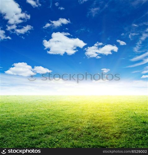 Sky and grass. Sky and grass. Summer background nature outdoor. Sky and grass