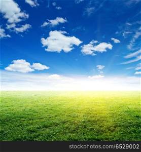 Sky and grass. Sky and grass. Summer background nature outdoor. Sky and grass
