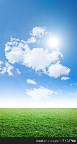 Sky and grass. Sky and grass. Vertical summer panorama nature background. Sky and grass