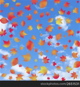 Sky background with leaves