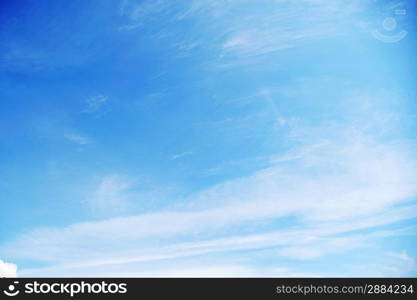 sky , clouds and trees landscape