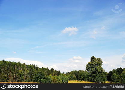 sky , clouds and trees. summer landscape